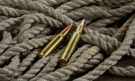 Two brass rifle cartridges resting on coiled gray rope background