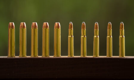 Ten brass rifle cartridges lined up in a row on a wooden surface.