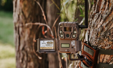 Browning Defender Vision Pro LiveStream Cellular Trail Camera Review