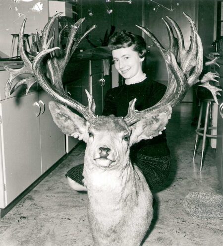Woman posing behind large mounted deer head with impressive antlers indoors