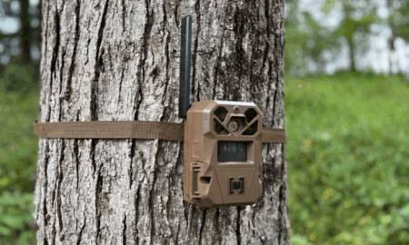 The Moultrie Edge 3 Trail Camera Is Full of Upgrades—I Tried Them All