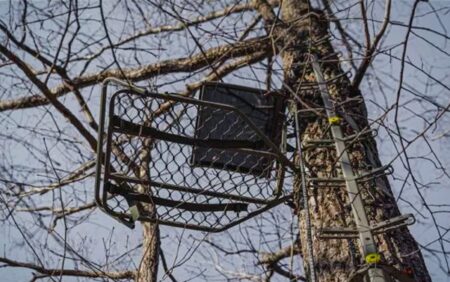 Metal hunting tree stand mounted high on bare winter tree with ladder