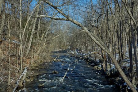 Rocky winter creek flowing through bare deciduous forest with snow-dusted banks.