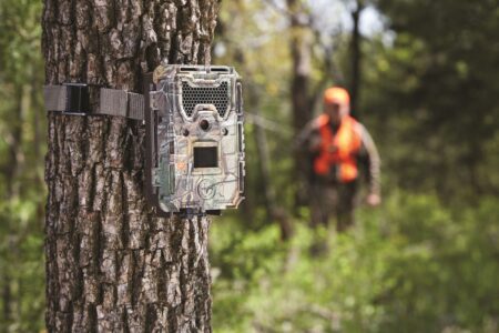 Camouflage trail camera strapped to tree with hunter in orange vest in background
