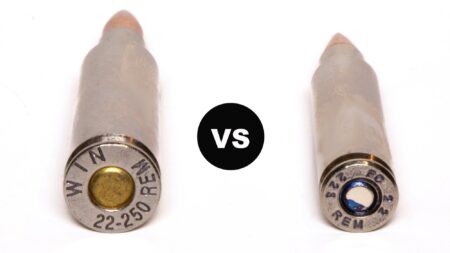 22-250 vs 223: Which Cartridge Is Better?