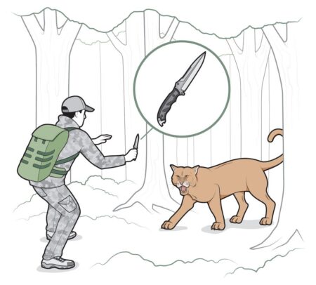 How to Fight off a Bear, Lion, and Wolfpack with a Knife