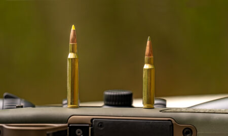 270 vs 308: Which One is the Better Big Game Cartridge