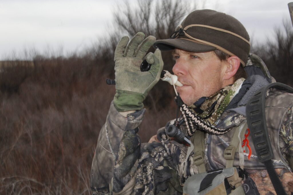 Howling Packing Tips Master Coyote Howling: Tips to Improve Your Hunting Game