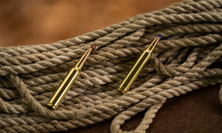 300 PRC vs 300 Win Mag: Which is the Better .30-Caliber Magnum? Two brass rifle cartridges with colored tips resting on coiled rope
