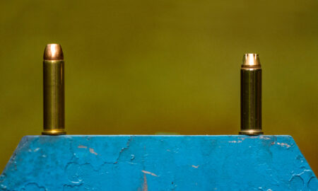 357 Magnum vs 38 Special: What’s the Difference? Two brass ammunition cartridges standing upright on a blue metal surface outdoors.