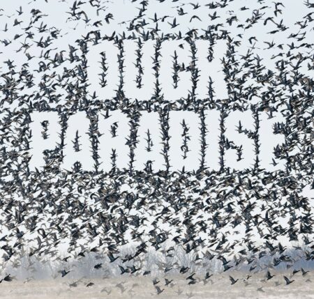 Massive flock of ducks filling winter sky with Duck Paradise text overlay