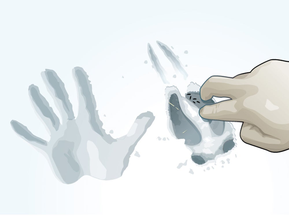 How to Read Deer Tracks in the Snow