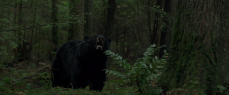 New “Backcountry” Movie Portrays Black Bear as Bloodthirsty Killer
