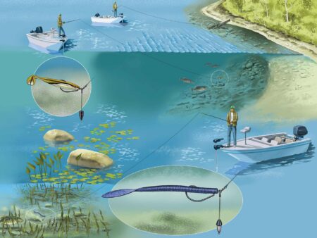 Fishing diagram showing anglers on boats using lures and tackle in lake