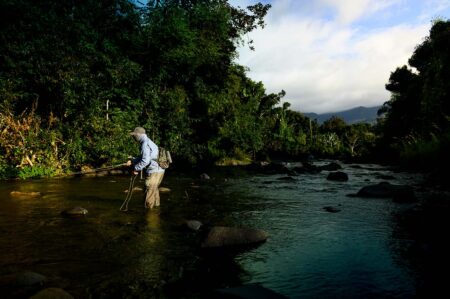 Fly fisherman wading in a rocky mountain river surrounded by lush forest