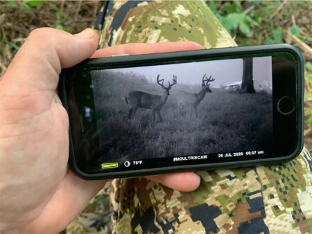 Hunter views Moultrie trail camera photo of two bucks on smartphone outdoors.