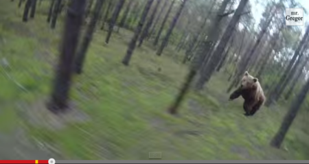 Spot the Fake: Two Videos of Bears Chasing Cyclists