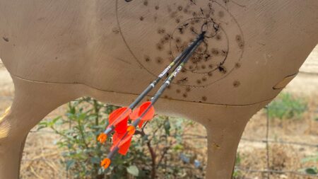 Two orange-fletched arrows embedded in a 3D archery foam deer target