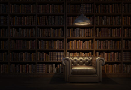 a leather chain in front of a wall of bookshelves