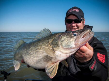 10 Best Fall Walleye Hotspots Fisherman proudly holding large walleye fish on open water boat trip