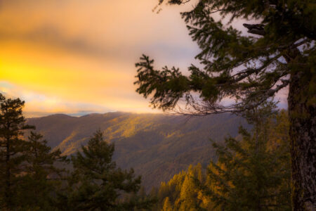 Sunset over forested mountain valleys with pine trees in golden light.