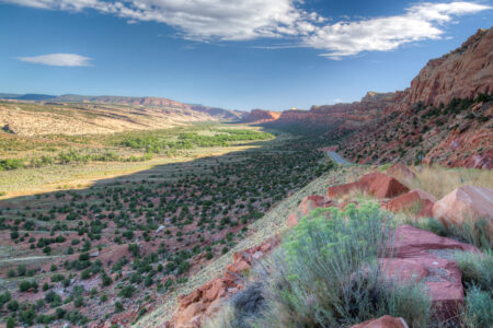 Mike Lee’s Land Grab Dies in the Senate Red rock canyon valley with green shrubs, cliffs, and blue sky in Utah desert
