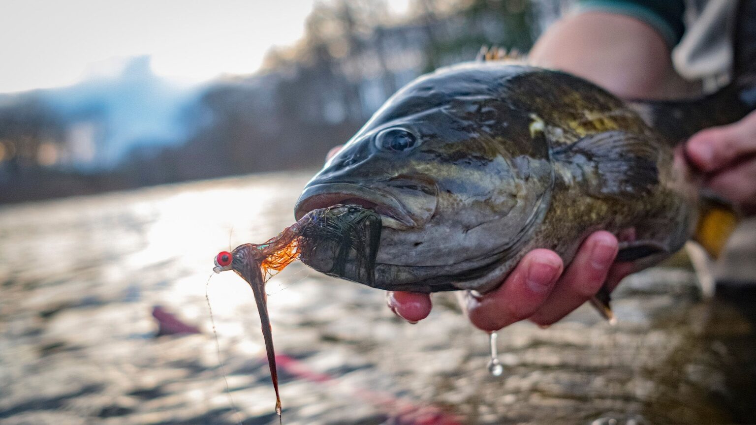 The 20 Best Bass Flies Ever Made