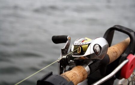 The 5 Best Daiwa Reels Baitcasting fishing reel with yellow line mounted on cork-handled rod near water