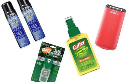 Best Mosquito Repellents of 2023