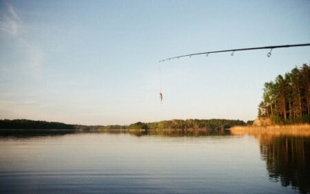 The Best Spinning Rods