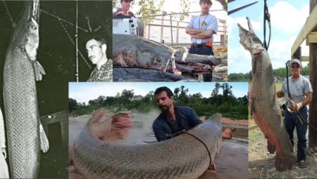Fishermen displaying massive alligator gar catches in multiple historic and modern photographs