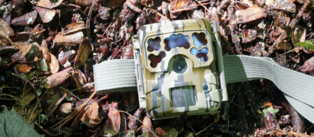 Camouflage trail camera with strap lying on forest floor among fallen leaves
