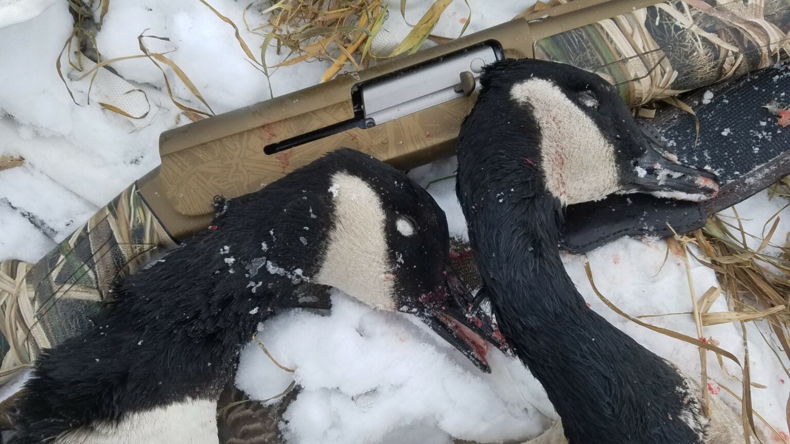 How to Shoot an Etruscan Double