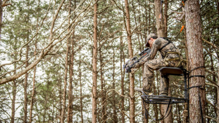 Want to Bag a Booner Buck? Get a Crossbow Hunter in camouflage sitting in elevated tree stand with crossbow in forest.