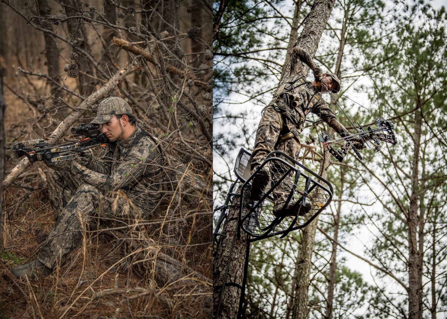 Crossbow vs Compound Bow: How to Pick the Right Hunting Bow for You