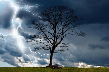 Lone bare tree silhouetted against dramatic storm sky with lightning bolts