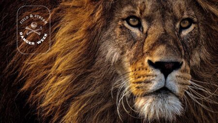The 5 Most Dangerous Game Animals to Hunt