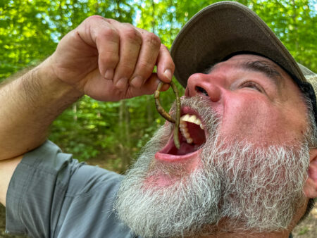 How to Eat Worms