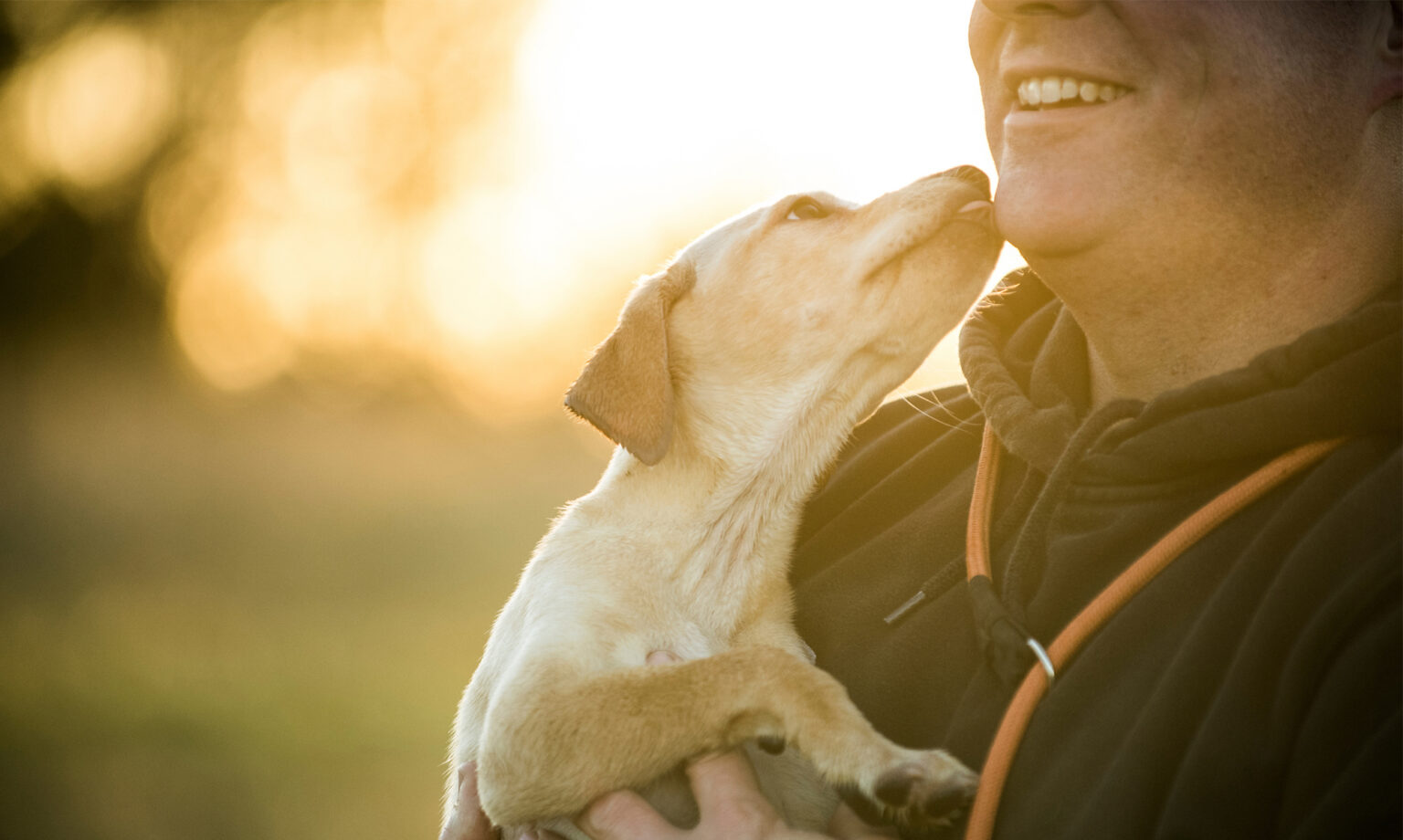 30 Best Gun Dog Names