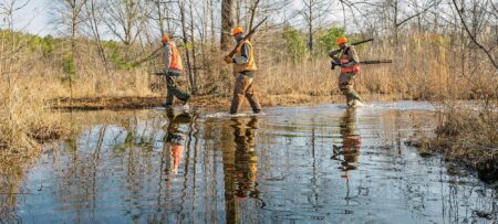 The Swamp Runners: Rabbit Hunting in Alabama Swamps Three hunters in orange safety vests crossing a shallow wetland with rifles.