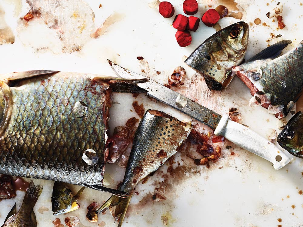 Four Meaty Bait Rigs for Big Catfish, Alligator Gar, and Redfish