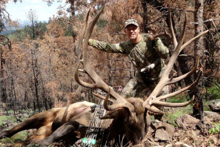 The Biggest Archery Elk of All Time