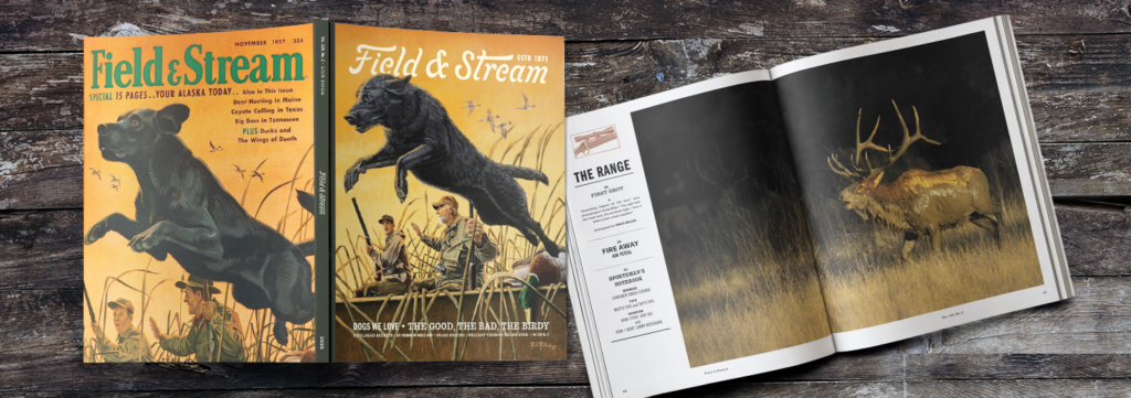 Get Ready for the Gun Dog Issue!