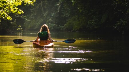 Person kayaking on a calm forest river with lush green trees overhead