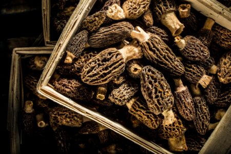 The Best Way to Clean Morel Mushrooms