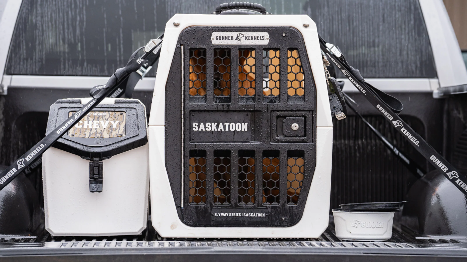 We Tested Kennels To Find the Best and Safest for Hunting Dogs