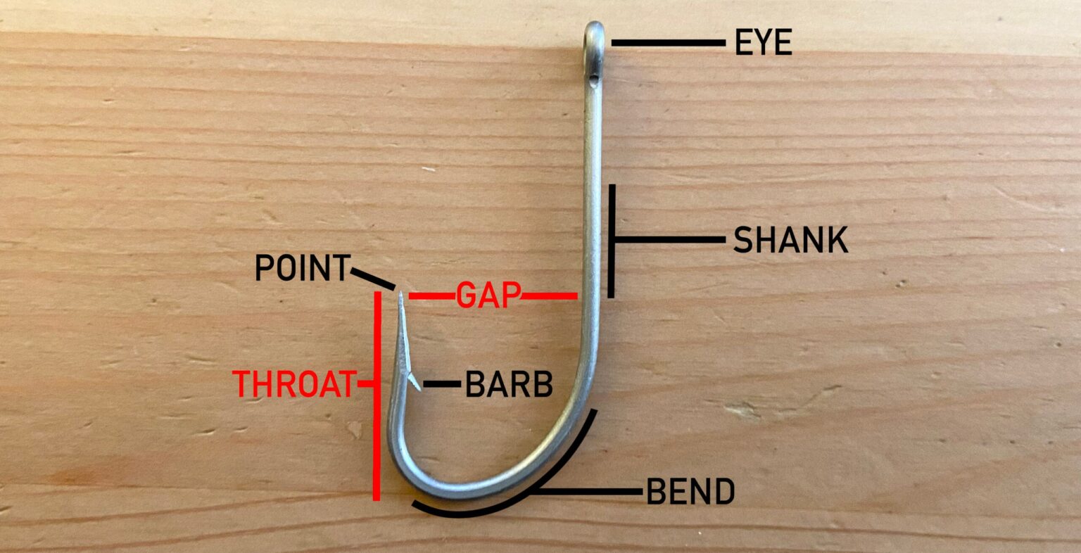 Fishing Hook Sizes: A Beginner’s Guide to Hook Selection