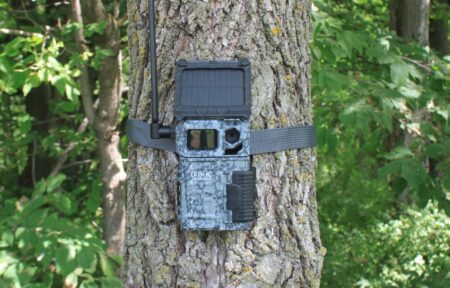 Camouflage trail camera with solar panel strapped to tree in forest