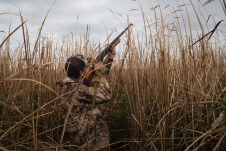 Hunter in camouflage aiming shotgun skyward through tall marsh grass reeds.