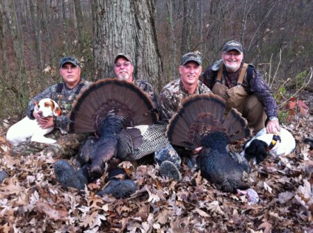 Four hunters posing with two harvested wild turkeys and dogs in forest.